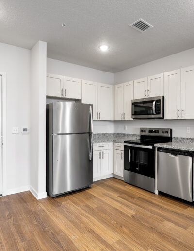 Modern Kitchen Inside Residential Apartment